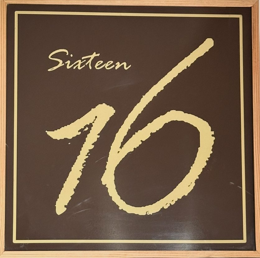 RYU SIXTEEN